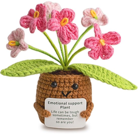 Dussdote Vergeet-mij-nietje - Positieve Energie Aardappel Haak Geluksbrenger - Beterschap Cadeau - Examen Certificaat - Verjaardagscadeau - Geschikt voor Vrienden en Collega's