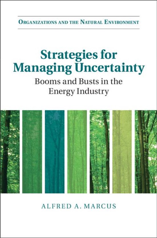 Organizations and the Natural Environment - Strategies for M ... - cover