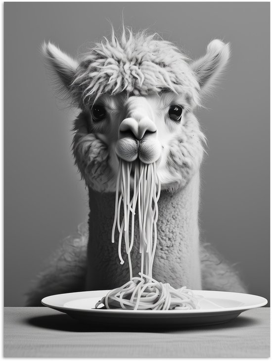 Affiche 60x80 cm - Alpaga - Pâtes - Zwart et Wit - Posters - Animaux - Décoration murale Décoration murale - Salon - Chambre