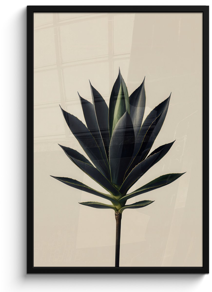 FrameYourWall Poster in lijst - Fotolijst 60x90 cm - Posters - Agaveplant - Symmetrisch - Groen - Posterlijst zwart - Decoratie - Wanddecoratie woonkamer - Muurdecoratie slaapkamer