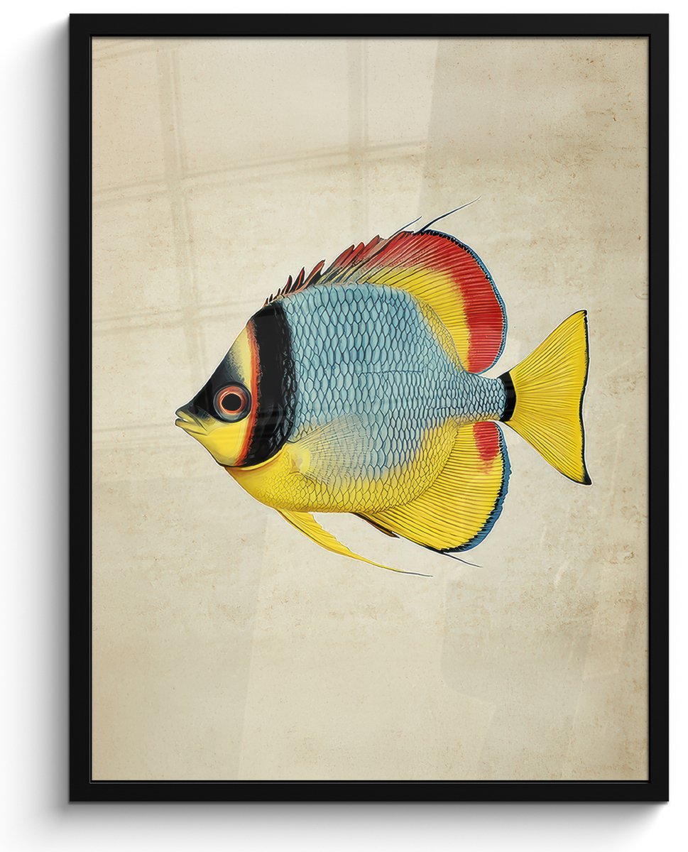 FrameYourWall Poster in lijst - Fotolijst 60x80 cm - Posters - Kleurrijk - Vis - Schubben - Illustratie - Posterlijst zwart - Decoratie - Wanddecoratie woonkamer - Muurdecoratie slaapkamer Vis - Kleurrijk
