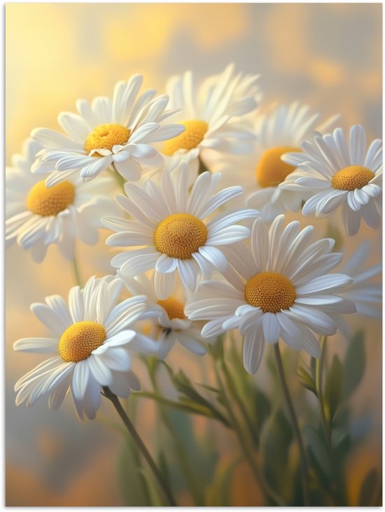 Affiche 90x120 cm - Marguerites - Wit - Lumière du soleil - Posters murale - Décoration murale salon - Décoration murale chambre