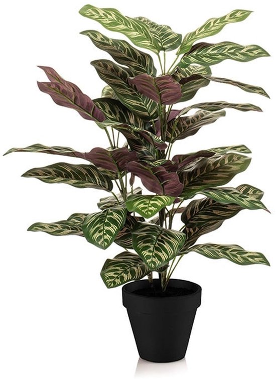 Kunstplant met golvende bladeren in groen en paars, in een zwarte pot op een witte achtergrond.