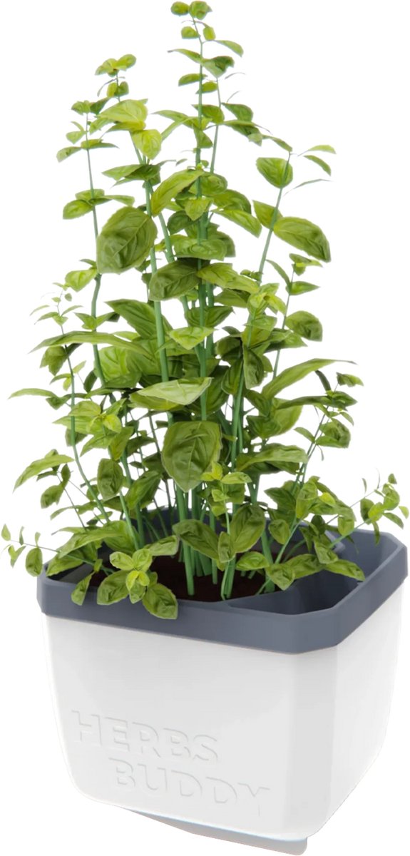 GUSTA GARDEN Herbs Buddy zelfbewateringskruidenpot ideaal voor o.a. basilicum Wit