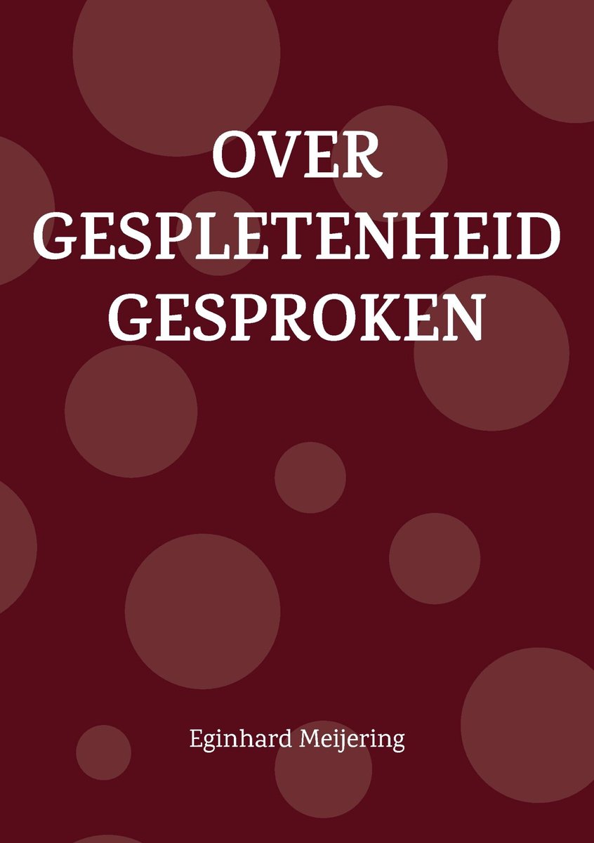 Omslag van Over gespletenheid gesproken