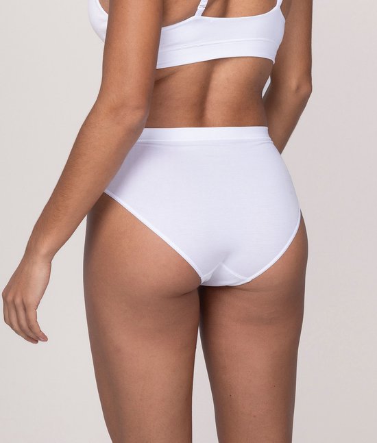 Slips femme Undiemeister - Lot de 3 - White Chalk - Sous-vêtements respirant soyeux et doux - Bande élastique - Coutures plates - Sans étiquette - Finition lisse - Tencel - Slips - Taille L