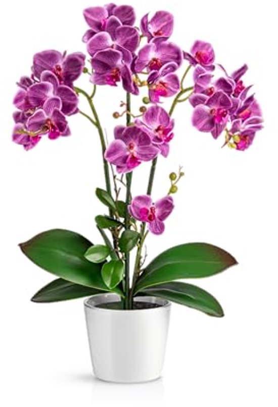 Kunstorchideeën in Hoogglans Keramisch Pot (46 cm) - Realistische Kunstbloemen voor Decoratie