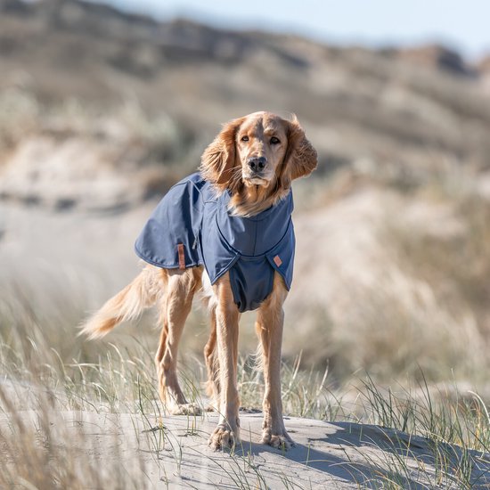 Trixie be nordique imperméable bleu husum 30 cm
