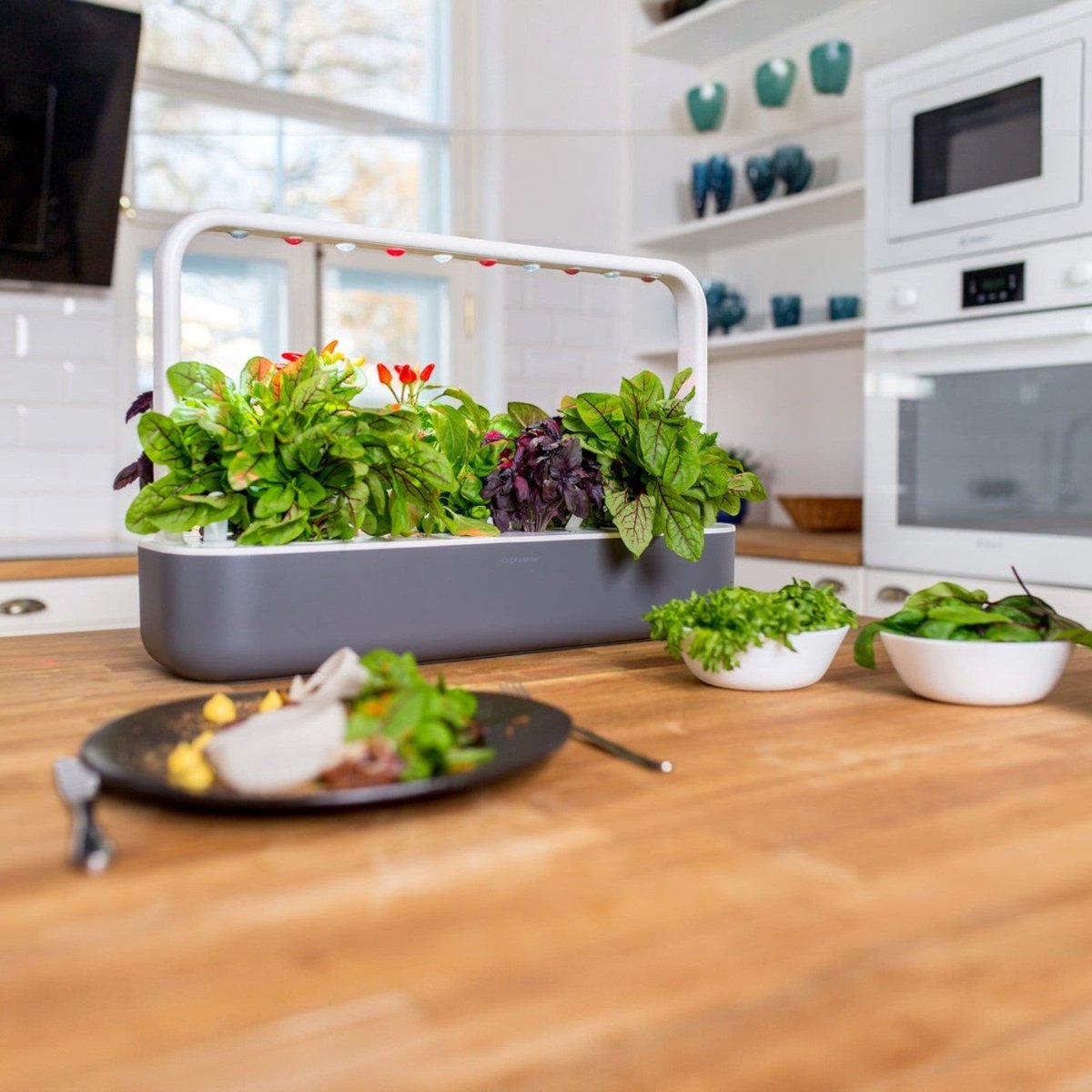 Recharge Poivron Jaune Pour Jardinière Click & Grow - Lot De 3 Capsules - Pour Smart Garden 3 Et 9 - Pousse Facile Sans Effort