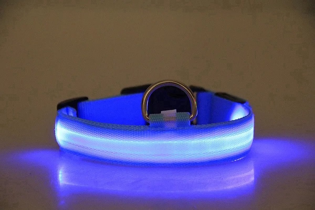 WVspecials Honden halsband Blauw maat M (40-48cm) - Halsband voor hond met led verlichting - Hondenverlichting - Verlichting voor hond - lichtgevende hondenhalsband - Black Friday - Sinterklaas - Kerst