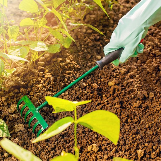KADAX Hark, kleine hark met steel, bladbezem van metaal, bladhark voor tuin, bloembed, gazonhark, tuingereedschap, hooikoork, tuinhark, groen (30 cm, 6 tanden) van Merkloos	 — afbeelding 2