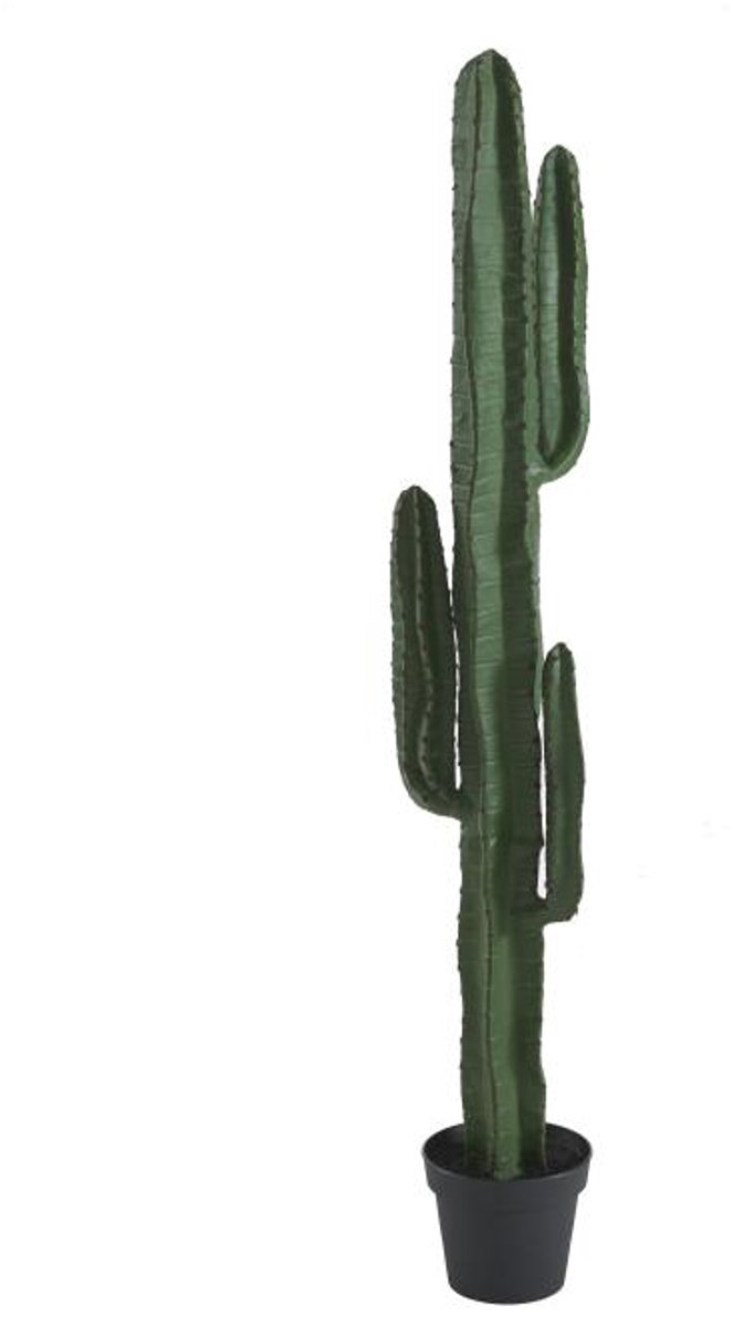 Vente-unique Kunstcactus - H 145 x B 26 x D 20 cm - Groen - GUADA