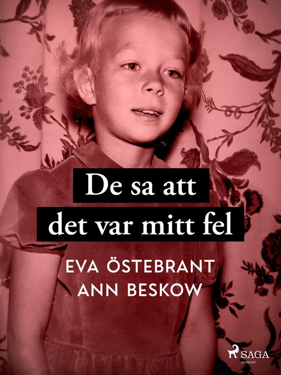 De sa att det var mitt fel - cover
