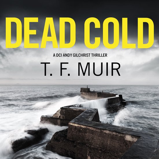 DCI Andy Gilchrist13- Dead Cold - cover