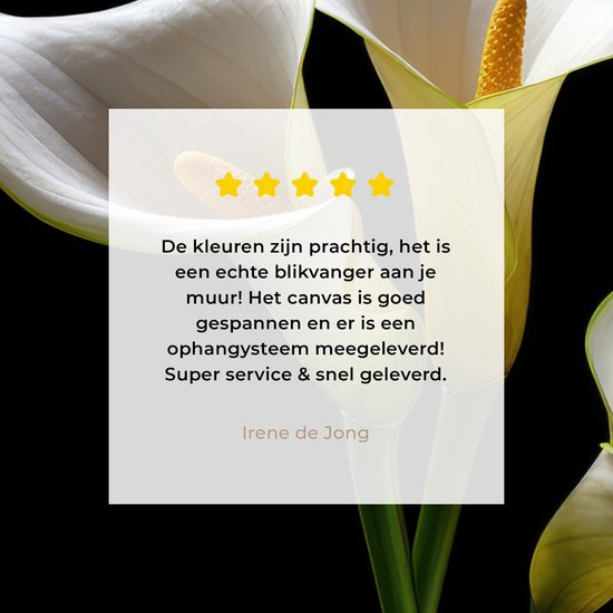 Canvas schilderij 80x60 cm - Wanddecoratie Planten - Bloemen - Wit - Natuur - Botanisch - Muurdecoratie woonkamer - Slaapkamer decoratie - Kamer accessoires - Schilderijen op canvas