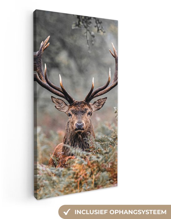 Canvas schilderij 40x80 cm - Wanddecoratie Hert - Natuur - Herfst - Bosdieren - Muurdecoratie woonkamer - Slaapkamer decoratie - Kamer accessoires - Schilderijen op canvas