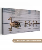 OneMillionCanvasses - Toile - Tableau - Canard - Water - Vogel - Toile oiseaux - 80x40 cm - Décoration murale - Salon