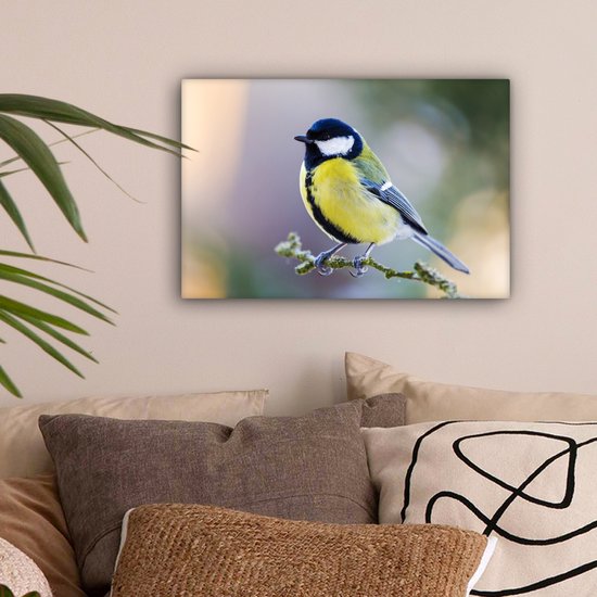 Toile - Peinture - Mésange charbonnière - Vogel - Branche - Mousse - Impression sur toile - Chambre à coucher - 30x20 cm - Intérieur - Décoration murale