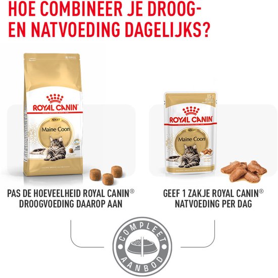 Een zak Royal Canin Maine Coon droogvoer en een zakje natvoer, met instructies voor dagelijkse voeding.