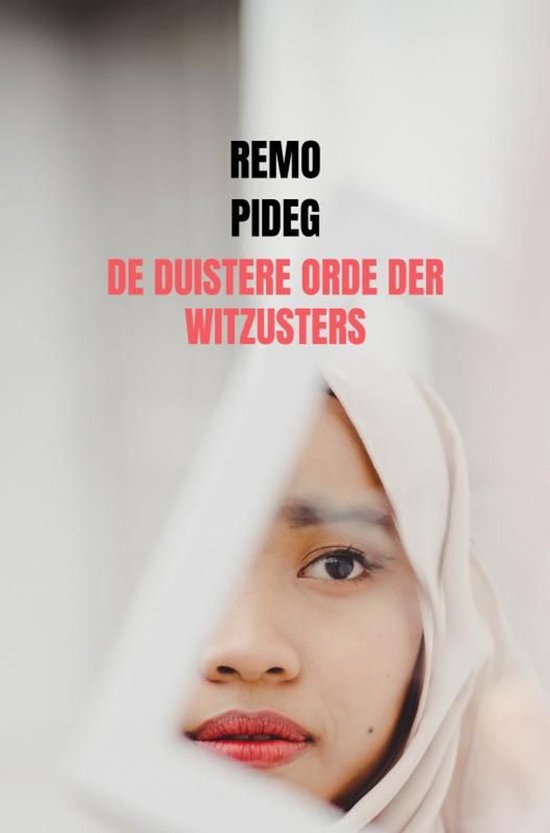 De Duistere Orde der Witzusters - cover