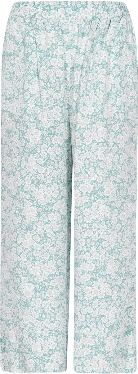 usha Broek