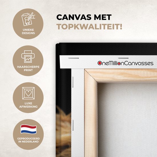 Canvas schilderij - Schotse hooglander 120x80 - Kamer decoratie accessoires - Zwarte schilderijen woonkamer dieren - Wanddecoratie koe slaapkamer - Muurdecoratie keuken zwart - Wanddoek interieur - Woondecoratie huis - Woonaccessoires