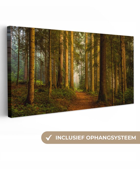 Toile - Toile nature - Arbre - Forêt - Ciel - Décoration murale - Photo sur toile - 200x100 cm