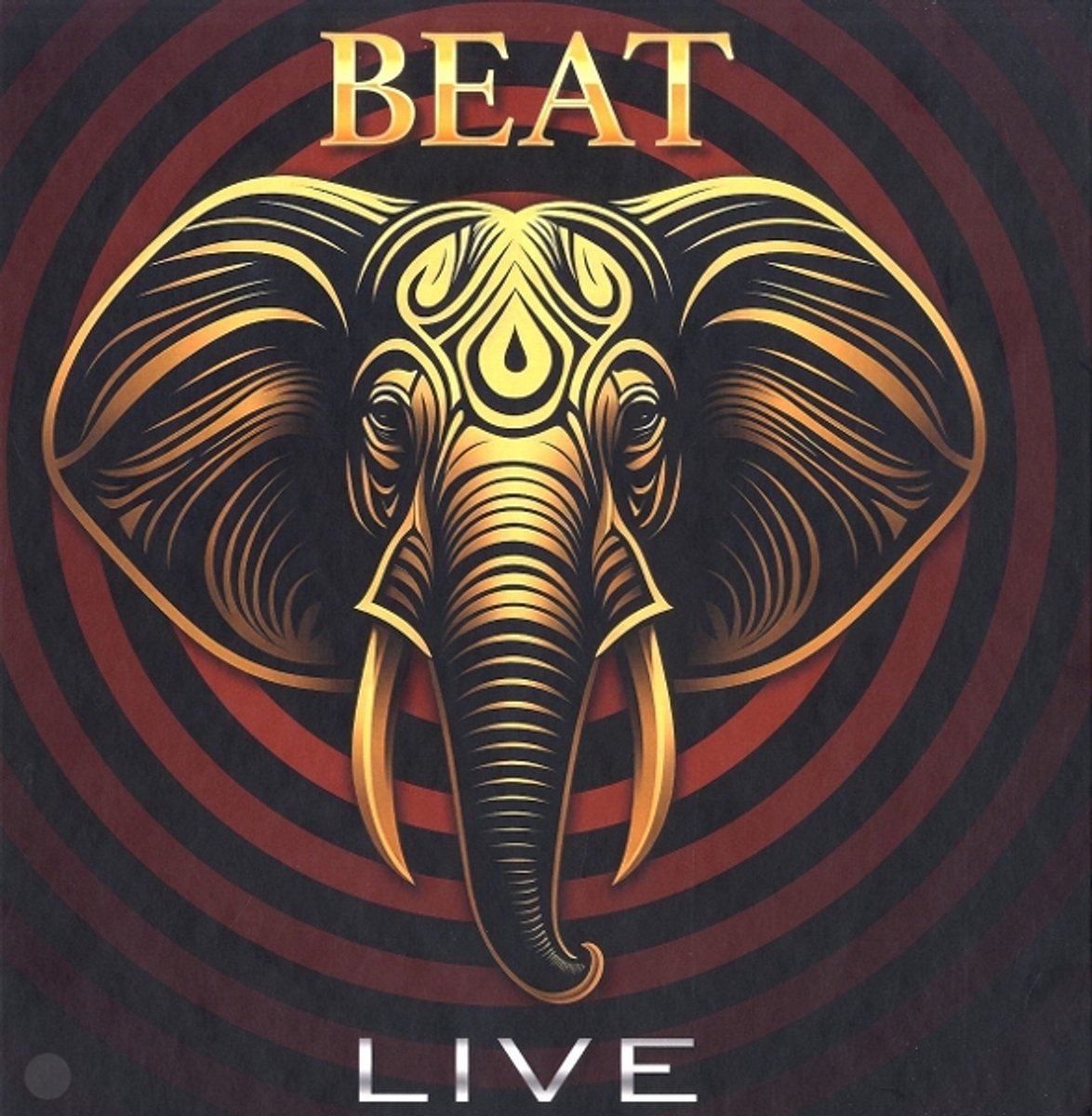 LIVE BEAT’S [DVD] 1174x1200.jpg