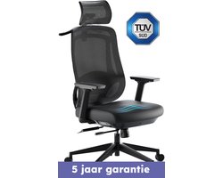 Roveo Ergonomische Bureaustoel - Office Gaming Chair - Volwassenen Game Stoel - Gamestoel - Zwart