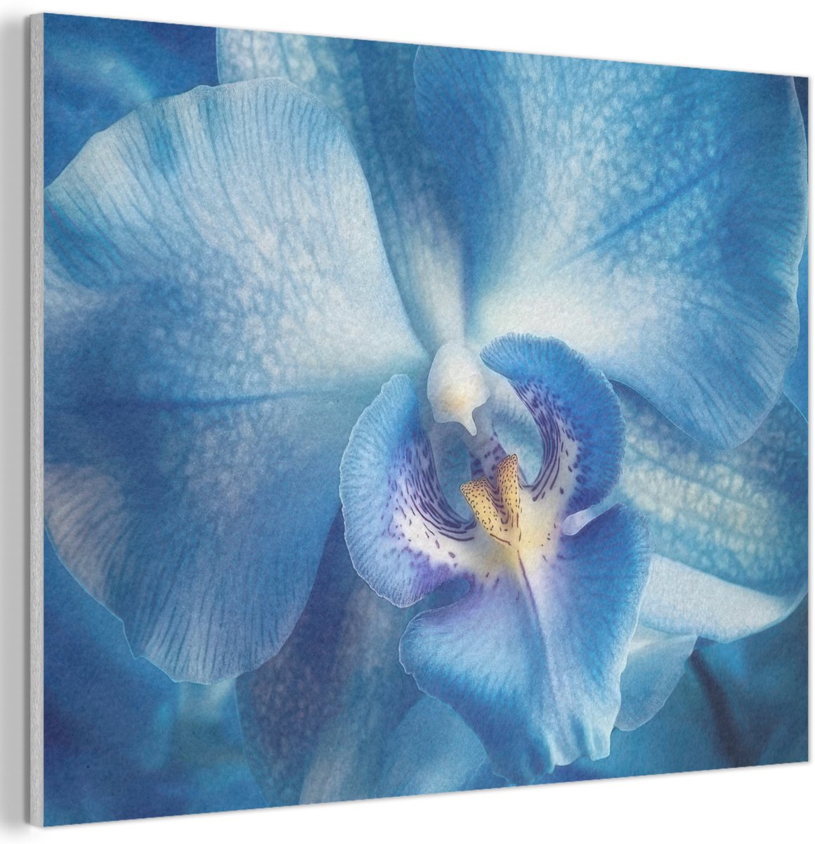 Akoestisch wandpaneel 40x30 cm - Vilt schilderij Blauw - Orchidee - Elegeant - Akoestische panelen - Geluidsdempende wanddecoratie - Geluidsisolatie woonkamer - Muurdecoratie geluidspanelen