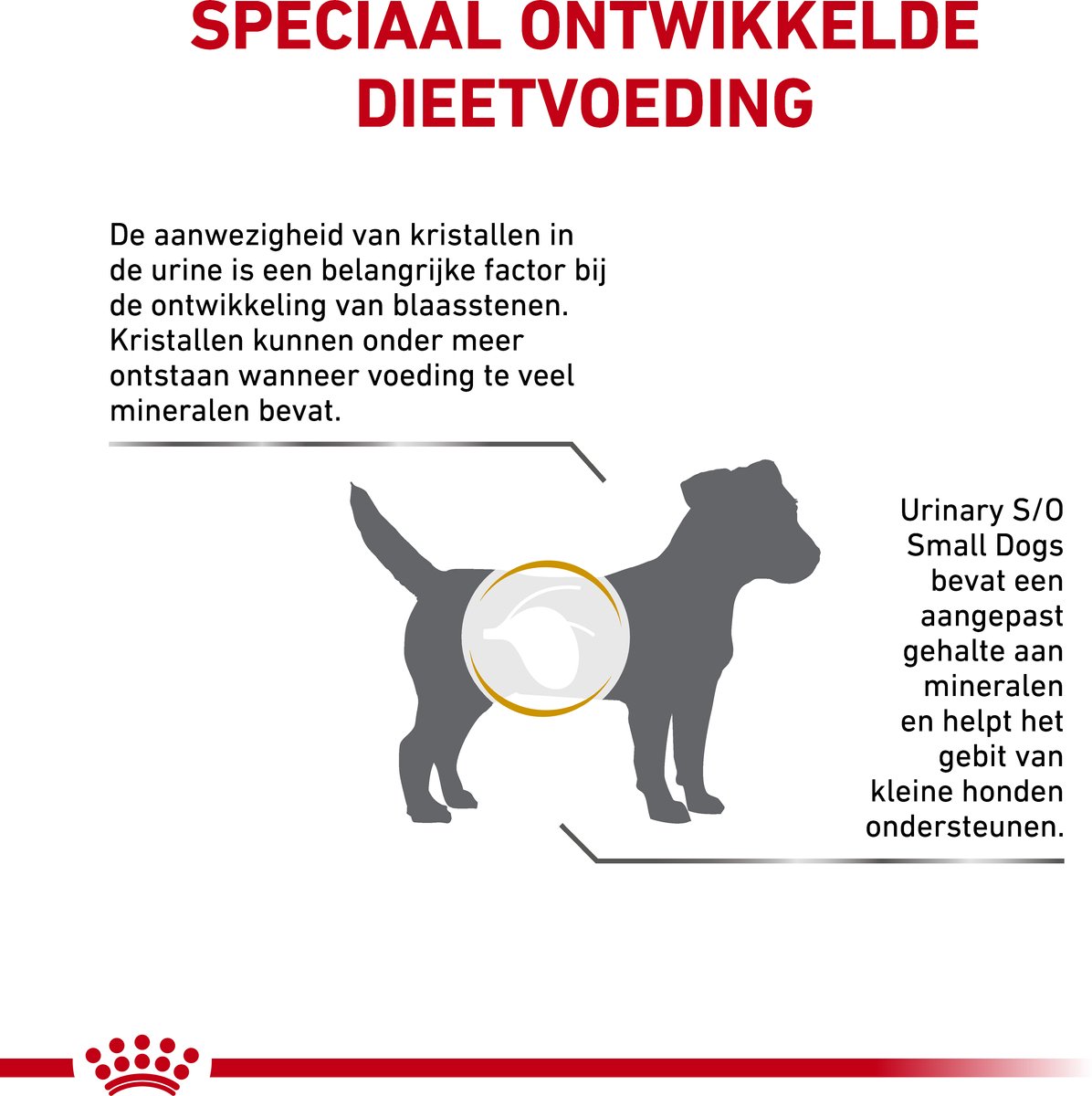 Royal Canin - Urinaire gezondheid thumbnail 5