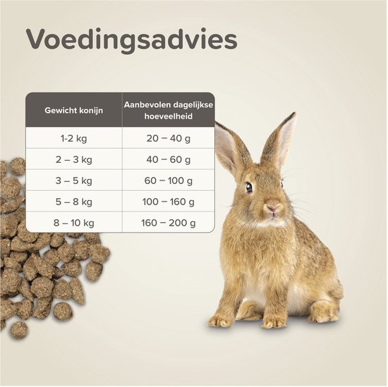 Voedingsadvies voor konijnen met een tabel en een konijn.
