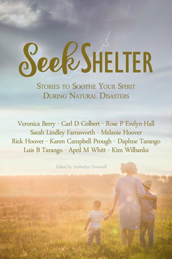 Seek Shelter: Stories to Soothe Your Spirit During Natural D ... - cover