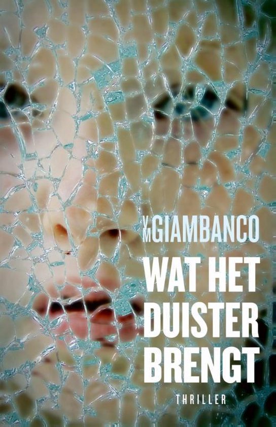 Cover van het boek 'Wat het duister brengt'