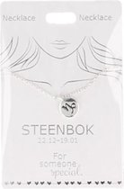 Ketting Steenbok, silver plated