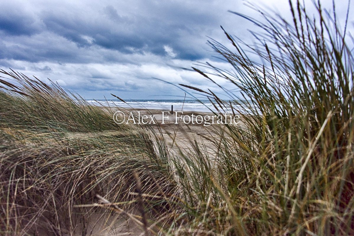 Foto op Canvas, Strand 012 (120x80cm)