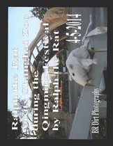 Ralph the Rat Visits Shanghai Zoo During the Qingming Festival on 4-5-2014