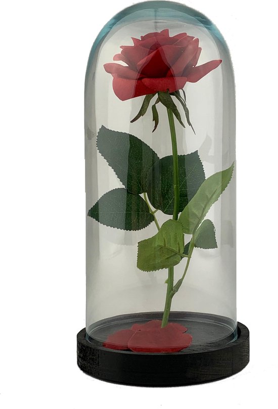 Roos in glazen stolp - levensechte roos - kunstbloem - d13xh26 | bol.com