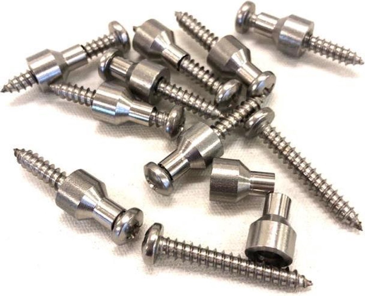 10 X Minax zelftapper RVS