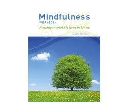 Mindfulness werkboek