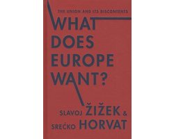 What Does Europe Want?