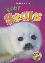 Super Cute!- Baby Seals