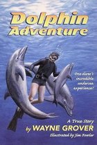 Dolphin Adventure