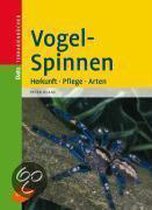 Vogelspinnen