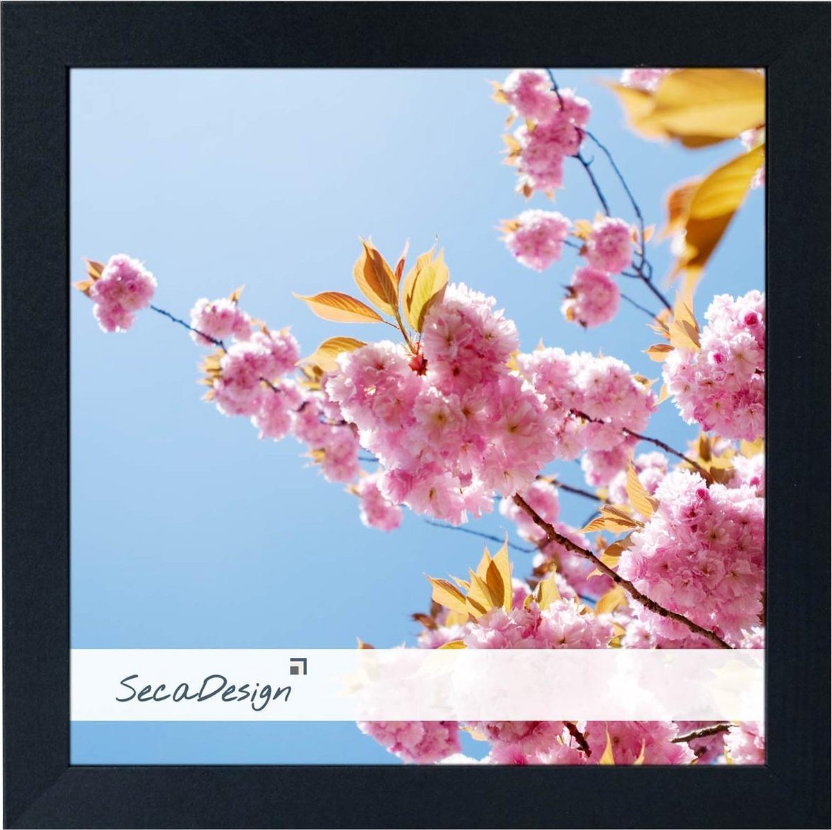 SecaDesign Anima Fotolijst Hout - Fotomaat 15x15 cm - Zwart
