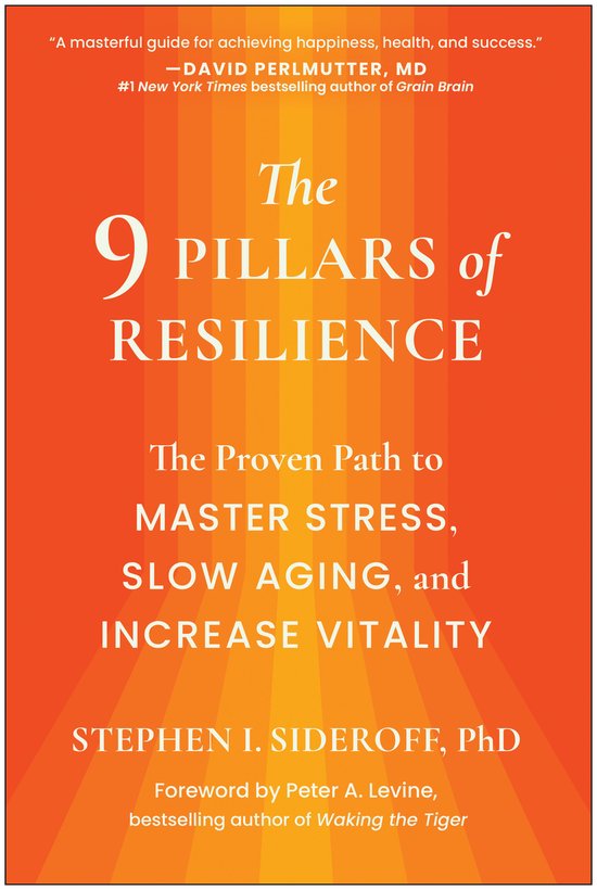 The 9 Pillars of Resilience - cover