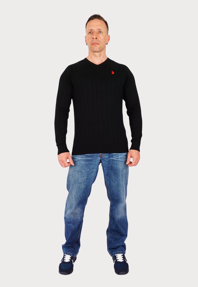 U.S. POLO Strickpullover Pullover V-Neck