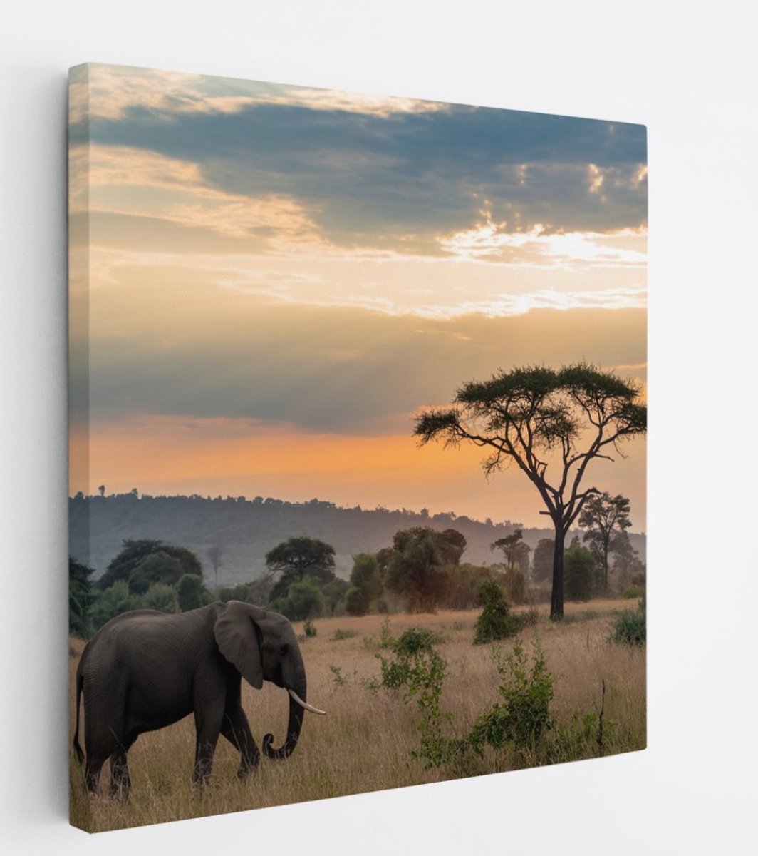 Saammp Canvas Schilderij - Olifant tijdens zonsondergang in de serangeti - Afrika - Dieren - 30x30 - Foto op canvas - Wanddecoratie - muurdecoratie Woonkamer - Slaapkamer decoratie - Canvas Print Multicolor