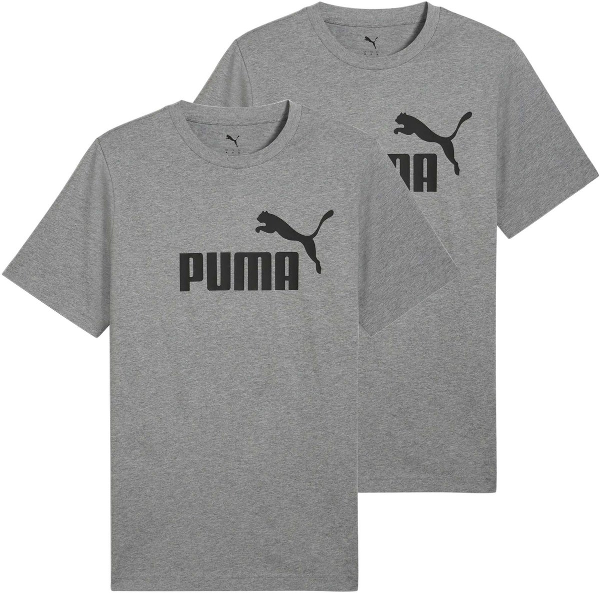 Puma T-shirt Set van 2 Grijs