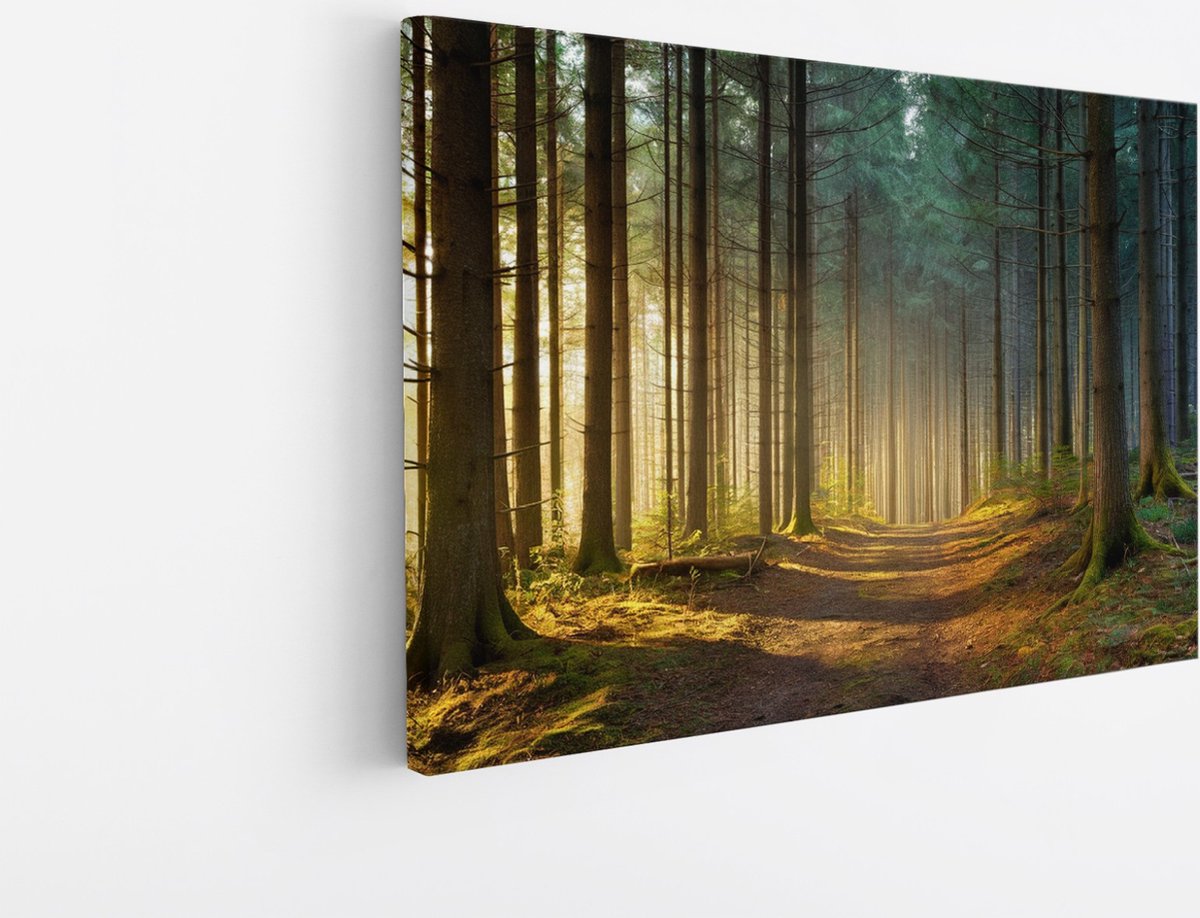 Saammp Canvas Schilderij - Bospad tussen de bomen - Landschap - Natuur - 100x75 - Foto op canvas - Wanddecoratie - Muurdecoratie Woonkamer - Slaapkamer decoratie - Canvas Print Multicolor